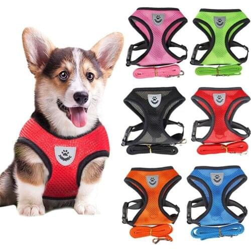Hoopreety Harnesses