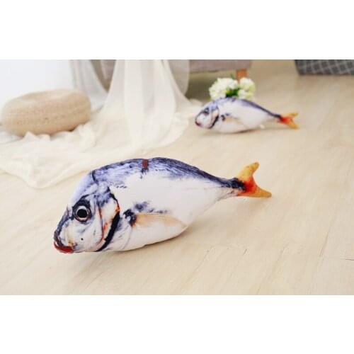 55cm 3d simulation plush Simulation Salted Fish lifelike stuffed soft good quality Pillow Early education christmas gift