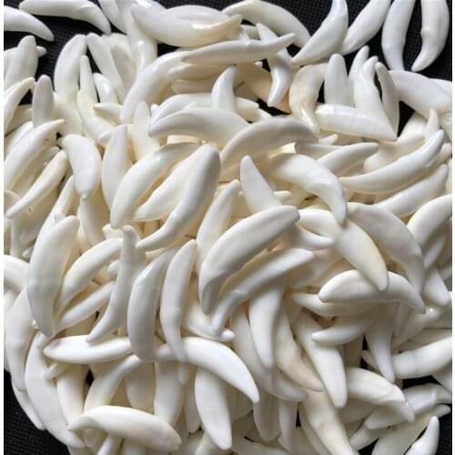 Wholesale 4.5-4.7cm Big Tooth 20Pcs/lot White Real Tibetan Wolf Tooth Teeth Charms Pendant for Bracelet Necklace Jewelry Making