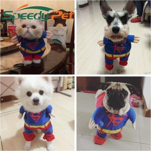 Waterproof pet clothes Funny Super Man Dog Puppy Coat Cloak Red Blue Hero Pet Cosplay Clothing Cat T-shirt Kitten Summer Suit