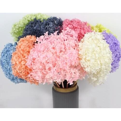 Eternal Life Flower Head Dried Flowers Real Natural Fresh Grade A Preserved Hydrangea Branch DIY Gift Wedding boho Decor Home