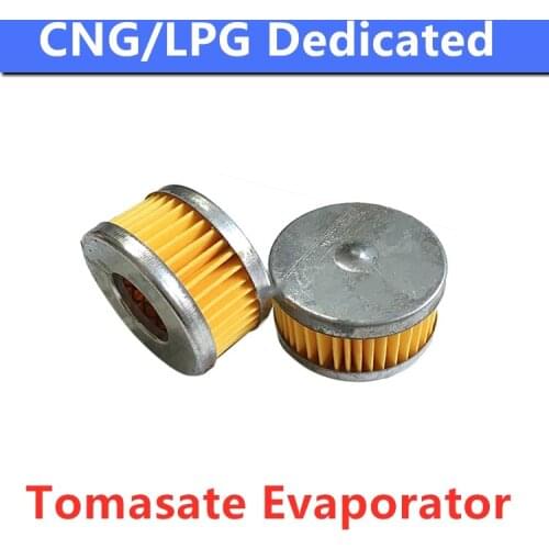 10pcs/lot LPG CNG Car Autogas Filter for TOMASETTO Gearbox Reducer Multi-point Sequential Injection System