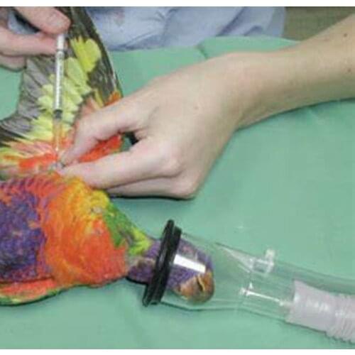 Uvet veterinary bird anesthesia mask zero dead space Fast predictable anesthesia Rodent oxygen bird mask anesthesia