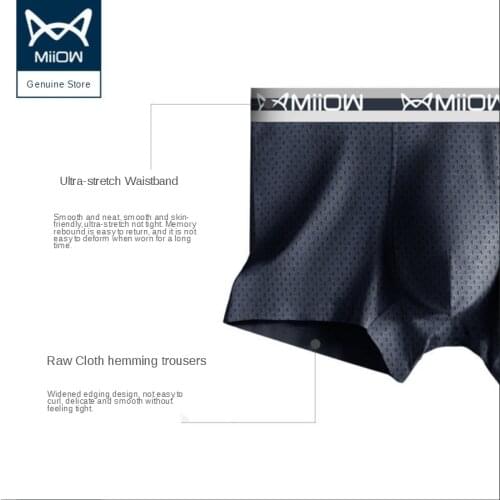 MiiOW Quick-drying Mens Underwear Mens Ice Silk Mesh Boxer Thin Section Summer Breathable Tide Modal Four-corner Short Pants