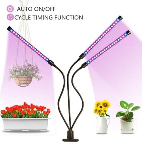 Led Grow Light LED three-pin plant lamp For Red Blue Led Plant Grow Light Lamps Full Spectrum Led Grow Lights Bulb Phytol