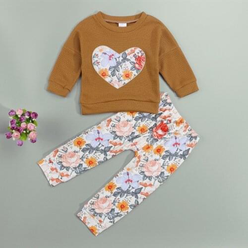 Fall 2 Pcs Baby Girls Casual Outfits Heart Flower Print Long Sleeve Round Neck Pullover + Elastic Waist Trousers Homewear