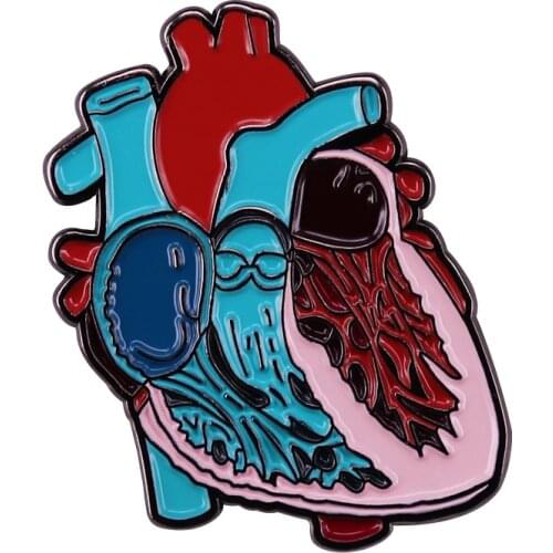 Anatomical Heart Pin Nurse Medical Brooch Badge