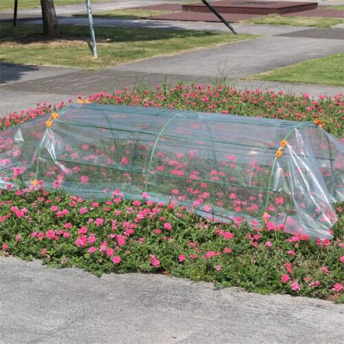 Garden Poly Tunnel Greenhouse Plants Protector Roof Panels Foil Hothouse Greenhouse Cover Plastic Film Without Shelf