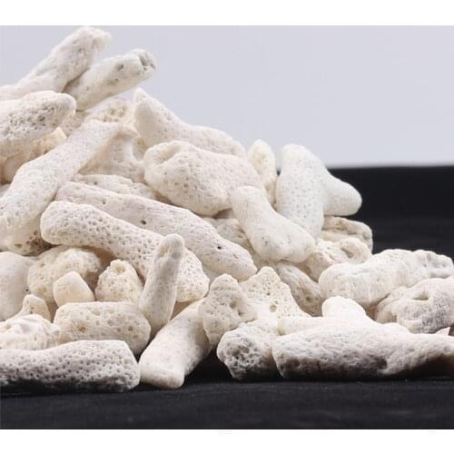 500g Aquarium Filter Coral Shell for freshwater seawater,Natural Reef Coral Bone Sand Biocycle Filter Medium to nitrify bacteria