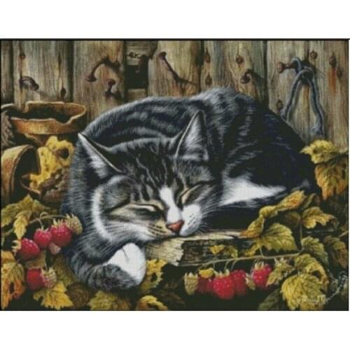 Embroidery Package Hot Sell Best Quality Cross Stitch Kits Cat Animal Strawberry Free Shipping