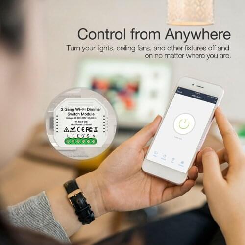 2 Gang DIY WiFi Dimmer Module Smart Life/Tuya APP Remote 2 Way Light Switch Suitable for EU/UK Switch Box