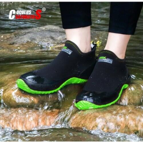 CUCULUS SATURATUS Goods For Tourism