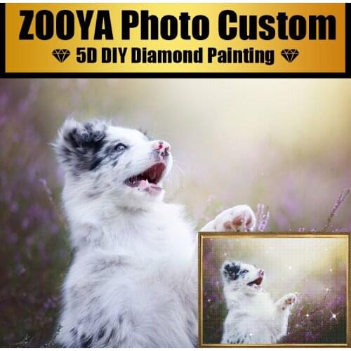 Pet Photo Custom Diamond Painting Cross Stitch Full Square Picture of Rhinestone DIY Diamond Mosaic Diamond Embroidery Sale DZ17