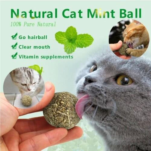 100% Natural Catnip Cat Toys Organic Menthol Flavor Snacks Pet Supplies Ball