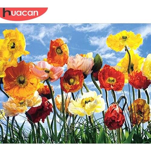HUACAN Coloring By Number Poppy Flowers Kits Handpainted Picture Drawing On Canvas For Adults DIY Frame Home Decor 50x65cm