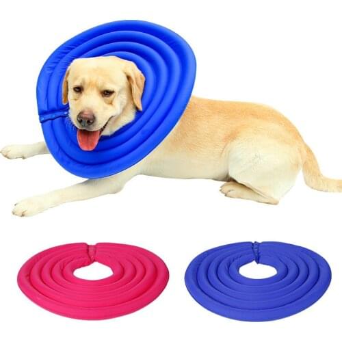 CoolPaw Dog Accessories