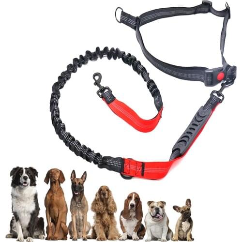 Dog Leash For Running Retractable Pet Elastic Leashes Collars For Dogs Jogging Training Soft Breathable Dog Running Belt