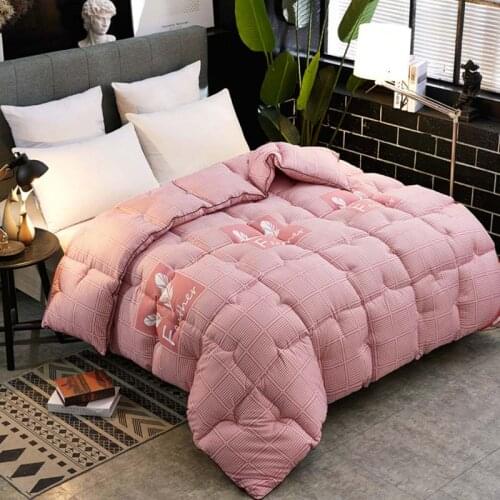 High Grade Warm Duvet Winter Down Velvet Quilt Thickened Comforter King Queen Twin Size Print Quilts Weighted Blanket Comforters