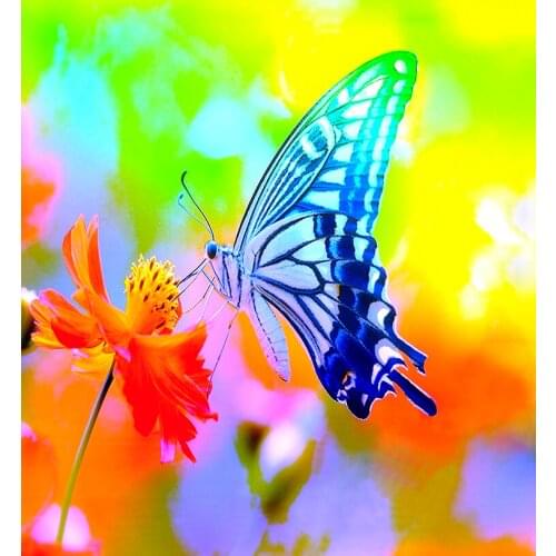 7 Color Butterfly Foamiran flowers Diamond Embroidery Almaznaya Mosaic Set for Embroidery Stitch Diamond Painting Cross Stitch