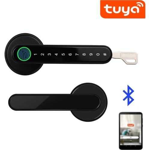 Tuya APP Bluetooth-compatible remote control Biometrics Fingerprint password code Door Lock with mechanical key