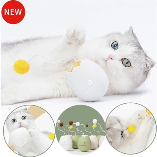 Xiaomi Products For Cats
