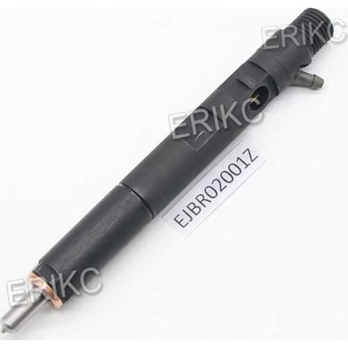 ERIKC EJBR02001Z Common Rail Injector EJB R02001Z Fuel Injection 2001Z Adjusting Asembling Injector For Delphi
