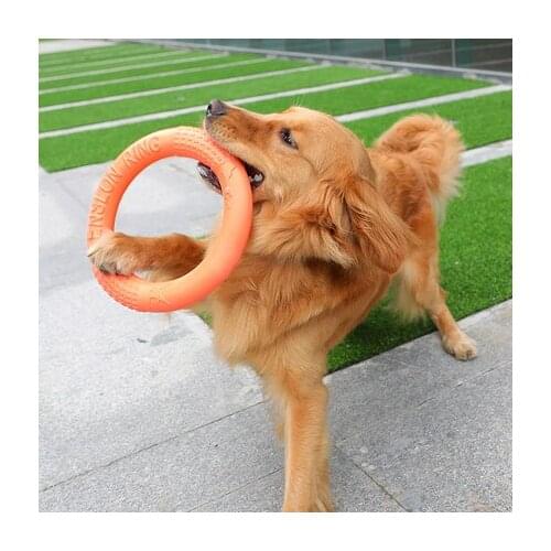 Rally Ring Pet Interactive Training Supplies dog toy molars bite golden Hair Labrador Husky