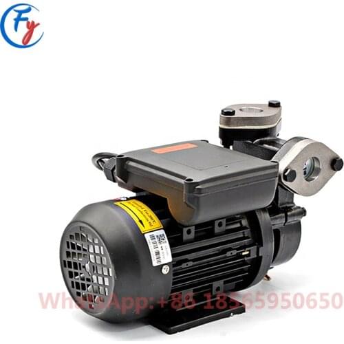 WM-033 WM-033S WM-05 WM-05S WM-10 WM-10S WM-20 WM-20S WM-30 WM-30N Heat Oil Pump High Temperature Resistance, Heat Water Pump