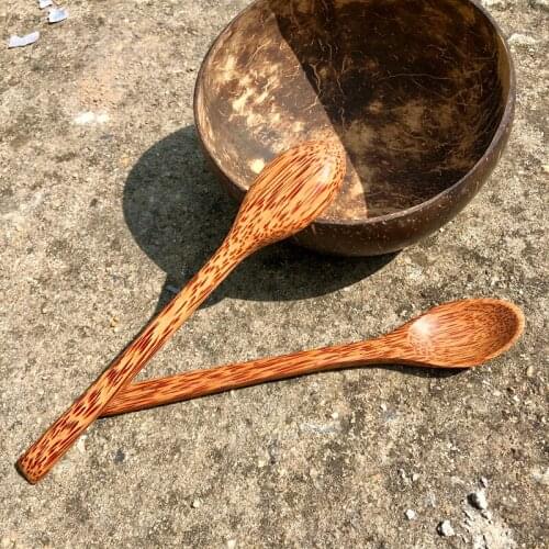 Creative Natural Coconut Bowl Eco Friendly Soup Salad Noodle Rice Bowl Wooden Fruit Bowls Handicraft Art Work Decoration