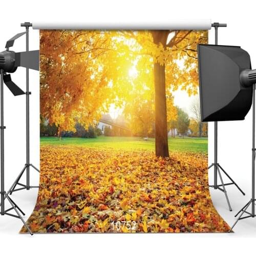 Fallen Leaves Photography Backdrops Sunny Grassland Tree Photo Background Vinyl Cloth Custom 3D Backdrop for Studio for Theater