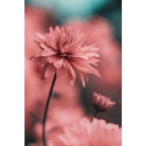 5d diamond painting Landscape flower full square diamond embroidery Cross stitch pictures of rhinestones Wedding decoration