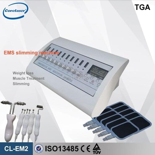 Free shipping professional electric muscle stimulator ems electroporation beauty device