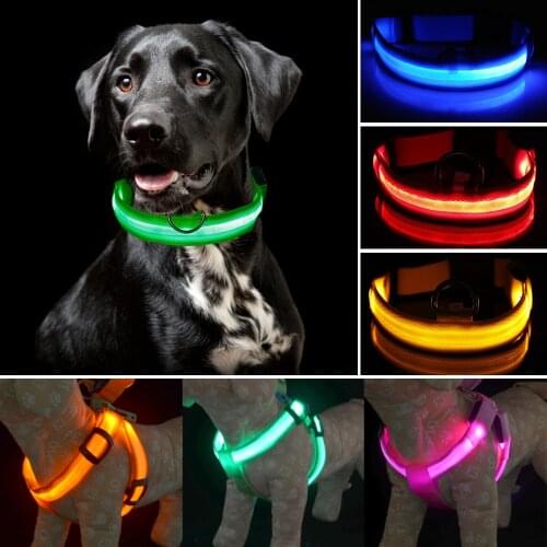 Puppystar Professional Lighting