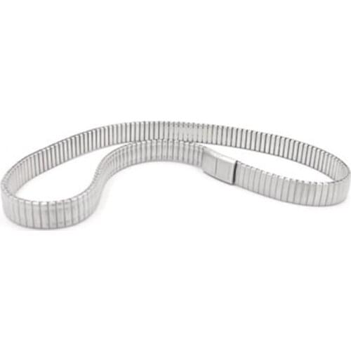 Peter elastic stainless steel metal waist chain high-quality metal elastic belt avant-garde personality jewelry men and women tr