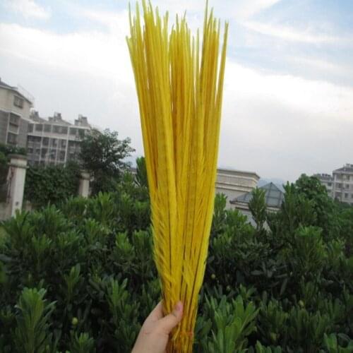 Hot 100 / a lot of beautiful yellow pheasant feathers 20-22 inches / 50-55 cm Free Shipping