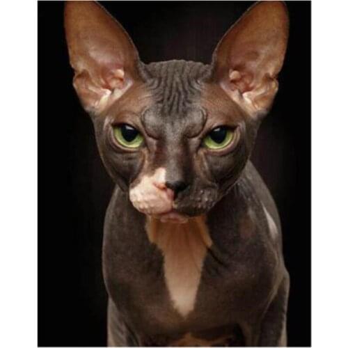 5D Diy Diamond Painting Animal Cool Hairless Cat Inlay Art Home Decoration Embroidery Cross Stitch Mosaic Picture FC592