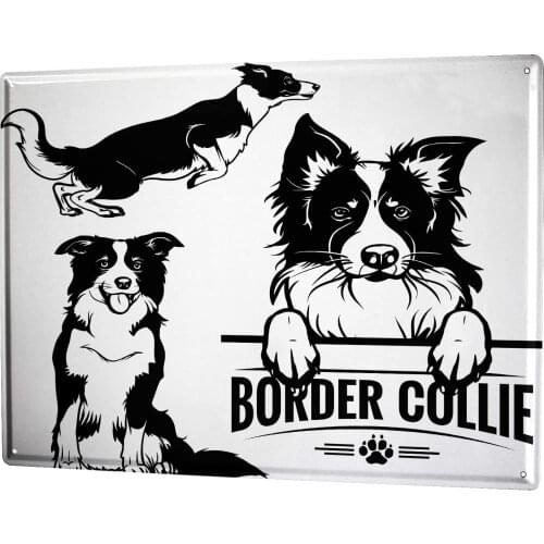 SINCE 2004 Metal Plate Dogs Breed Border Collie Drawing