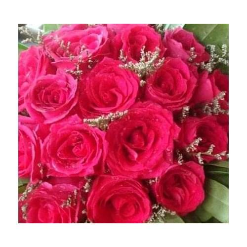 Vip for dropshipping vip website