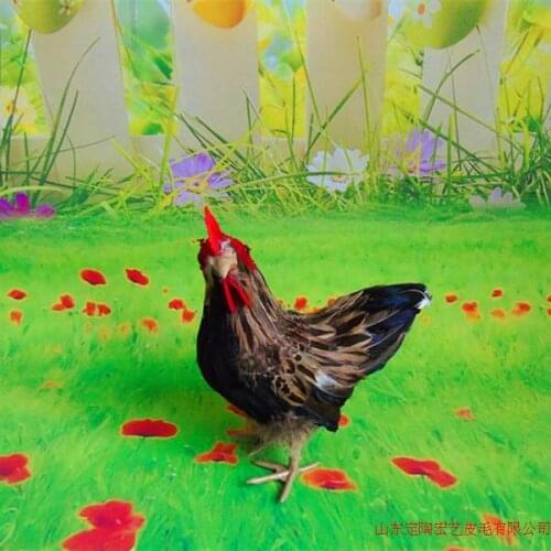 New simulation chicken toy polyethylene & furs small cock model doll gift about 24x12x18cm 099