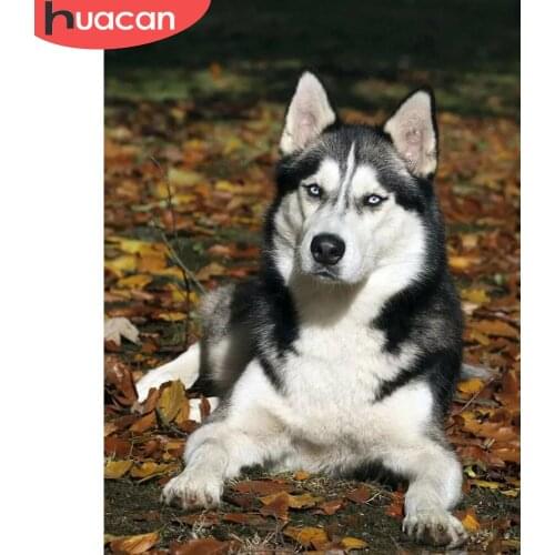 HUACAN DIY Diamond Painting Dog 5D Mosaic Diamond Animal Full Square Round Painting Rhinestone Cross Stitch Home Decor