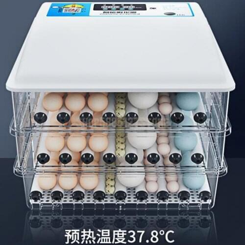 Water Bed Incubator Small Household Chicken Duck Goose Seedling Incubator Full Automatic Intelligent Constant Temperatur