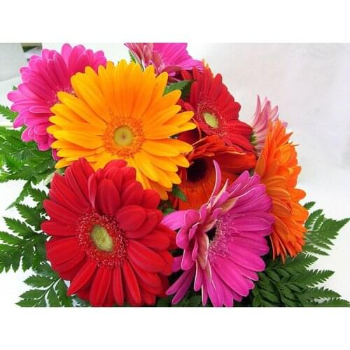 5D DIY Mosaic Color Chrysanthemum Mothers Diamond Painting Embroidery Cross Stitch Home Decor Handcraft Square/round