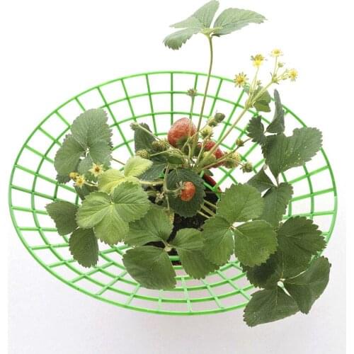 Strawberry Supports Stand Stand Removable Flower Climbing Vine Pillar Garden Supplies Cages Strawberry Growing Circle