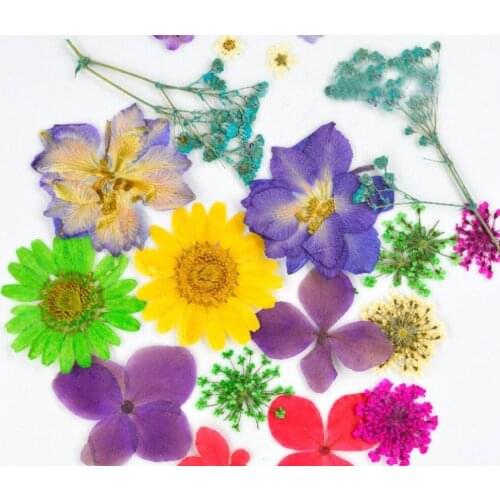 100pcs Assorted Dried Pressed Flowers Plant Herbarium For Jewelry Photo Frame Phone Case Craft Making Accessories Mix-1