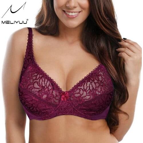 Bra For Womens Underwired Sexy Lace Bra Bralette Perspective Lingerie Ladies Lager Bosom Brassiere BH Top B C D DD E F Cup