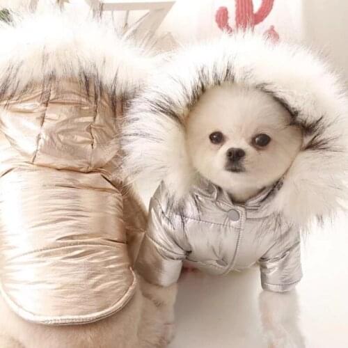 Winter Dog Waterproof Coat Jacket Warm Dog Clothes Pet Outfit Cat Puppy Yorkie Clothing Chihuahua Poodle Pomeranian Dog Costumes