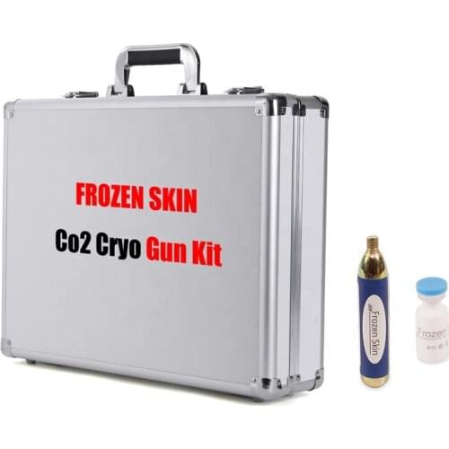 FROZEN SKIN Home Control Systems
