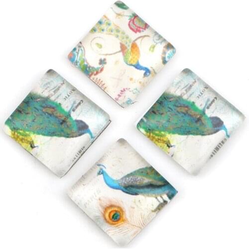 DoreenBeads Glass Dome Seals Cabochon Square Flatback At Random Peacock Pattern DIY Charms 12mm( 4/8") x 12mm( 4/8"), 30 PCs