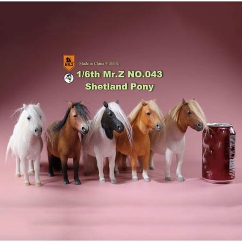 Mr.Z About 16.5CM 1/6 scale Animal Model MRZ043 Shetland Pony Horse Model for 12 inches Action Figure Accessory Home decoration
