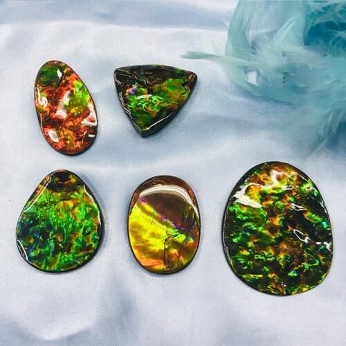 Natural Canada Ammolite Bare Stone Gemstone Fossil Snail Formed In 50 Million Years DIY Mosaic Ring Necklace